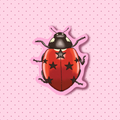 Holographic vinyl ladybug sticker